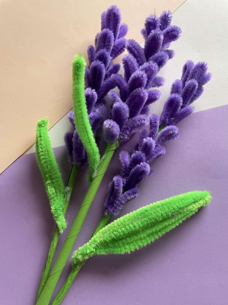 pipe cleaner lavenders