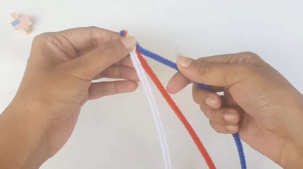 braiding the pipe cleaners