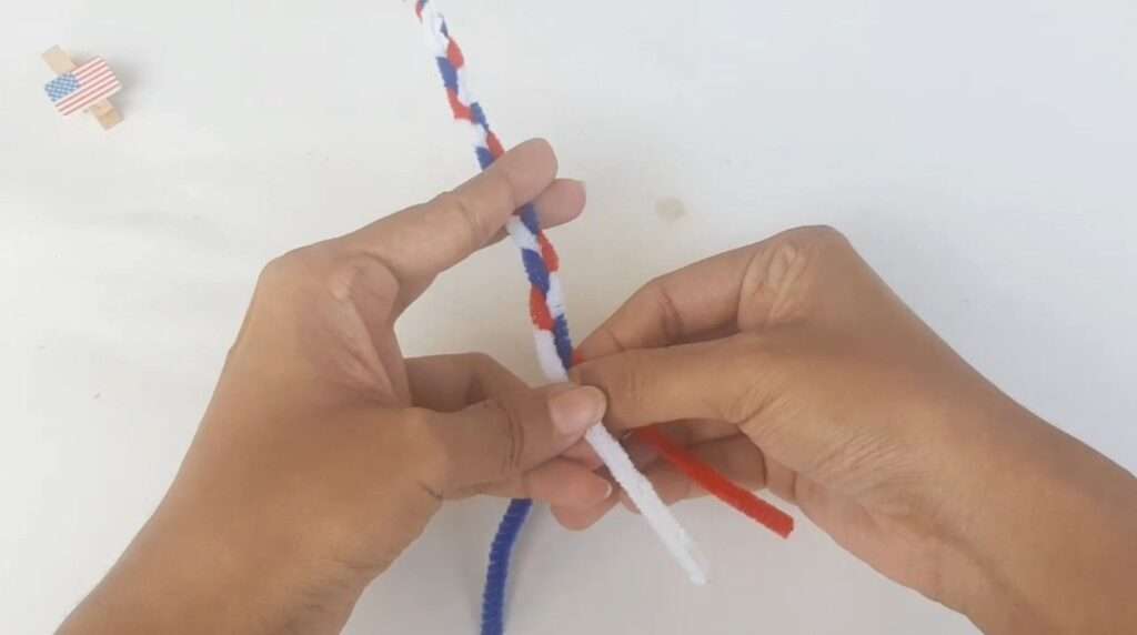 braiding the pipe cleaners